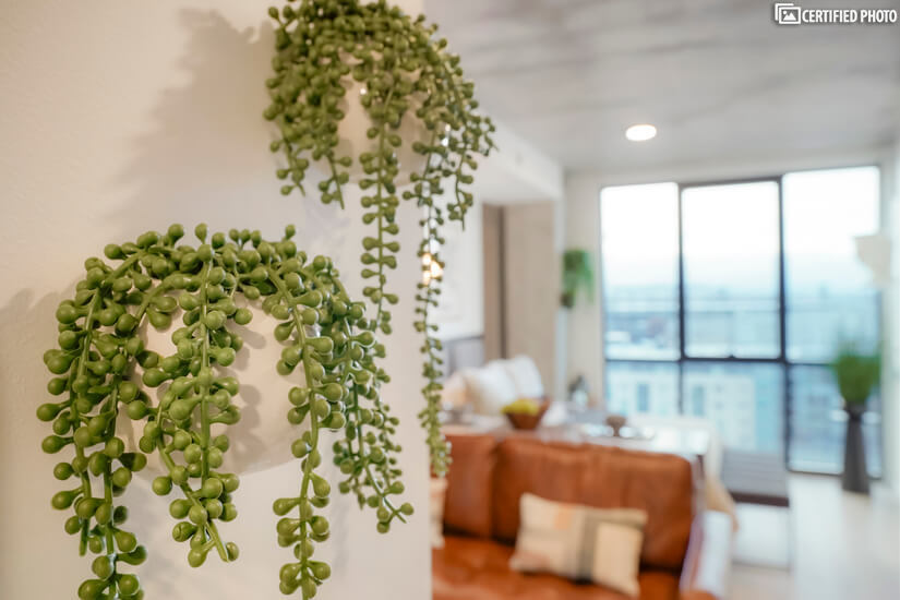 Greenery for wall decoration with large hanging mirror
