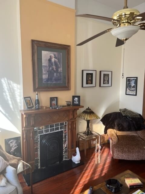 Fancy front room, sleeper sofa (full size)