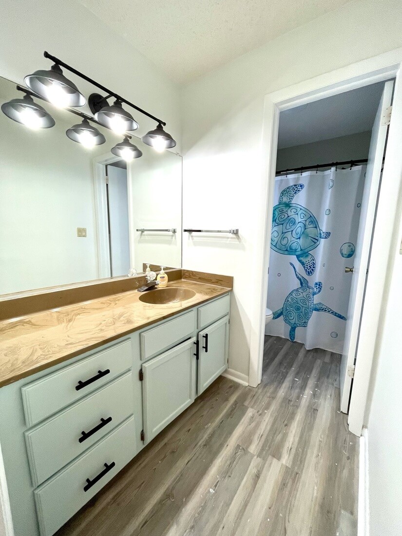 Sink vanity area separate - toilet & shower