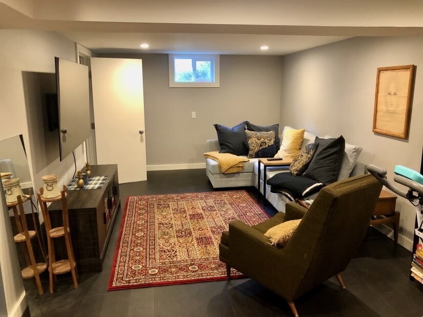 TV room in basement, two sleeper couches