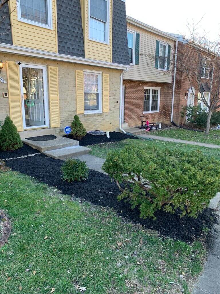 Alexandria Walk to Franconia Metro