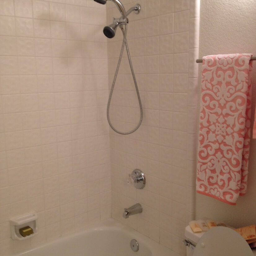 master bathroom tub and shower