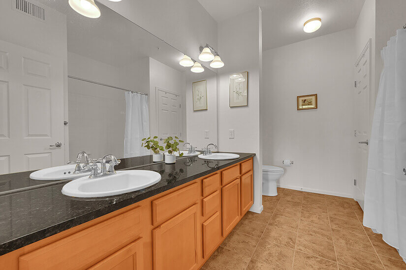 double sink master bath