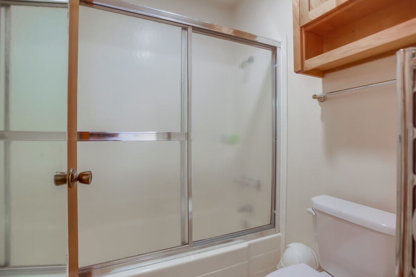 Tub and Shower Combo