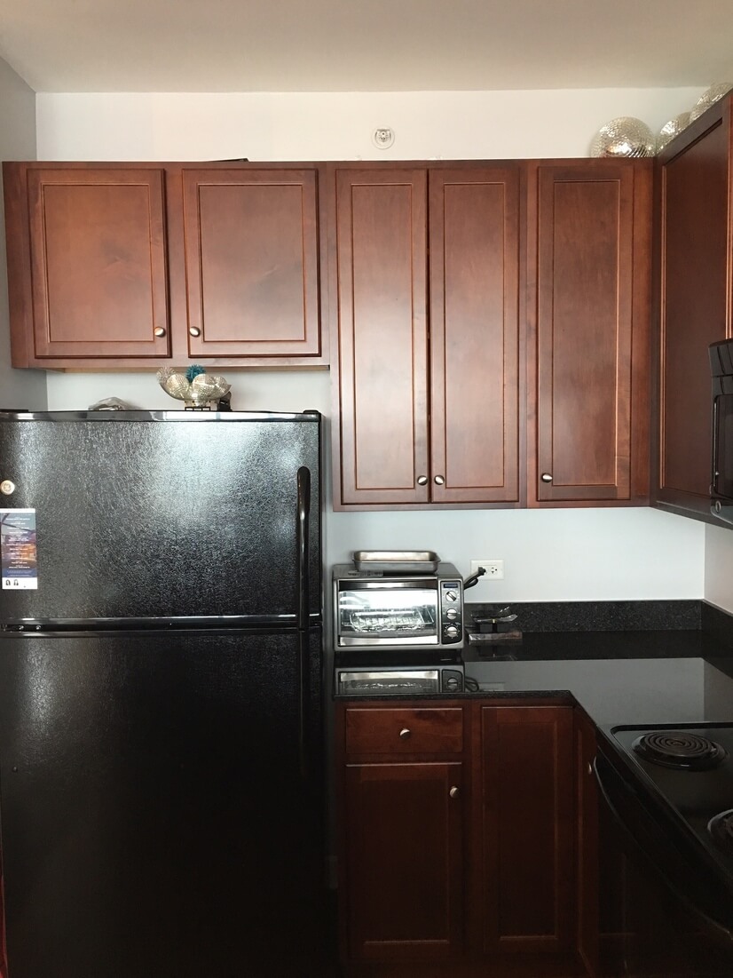 Furnished Condo in Chicago's South Loop