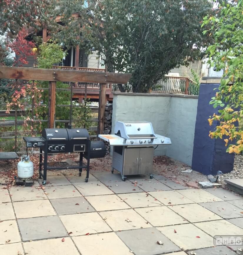 Back Yard with BBQ Grill