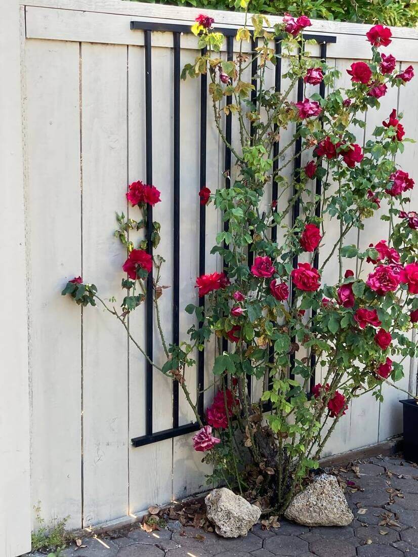 Pleasant Hill Prime Location