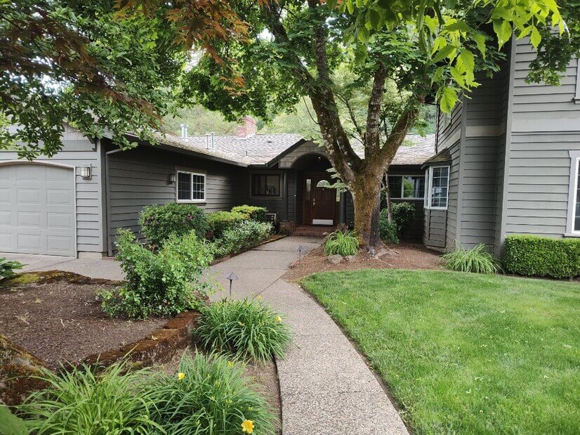 Inviting lush landscape