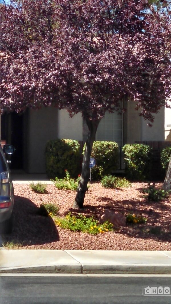 Furnished 3-bdrm home in Green Valley