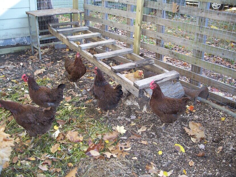 Hudson Lake Luxury Cottage 