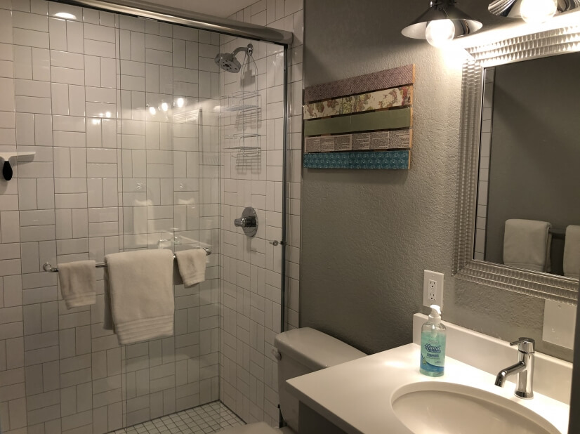 Private basement bathroom with walk-in shower