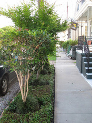 Stunning Home Near Streetcar, City Park