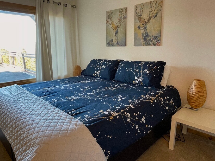 Main level bedroom 1