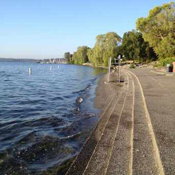 Madrona Park Waterfront