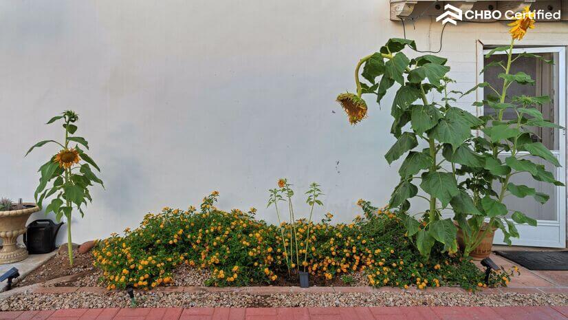 Snug Home Near Downtown Phoenix