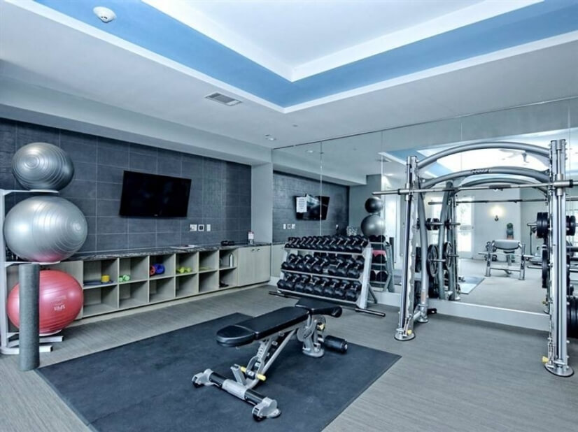 fitness