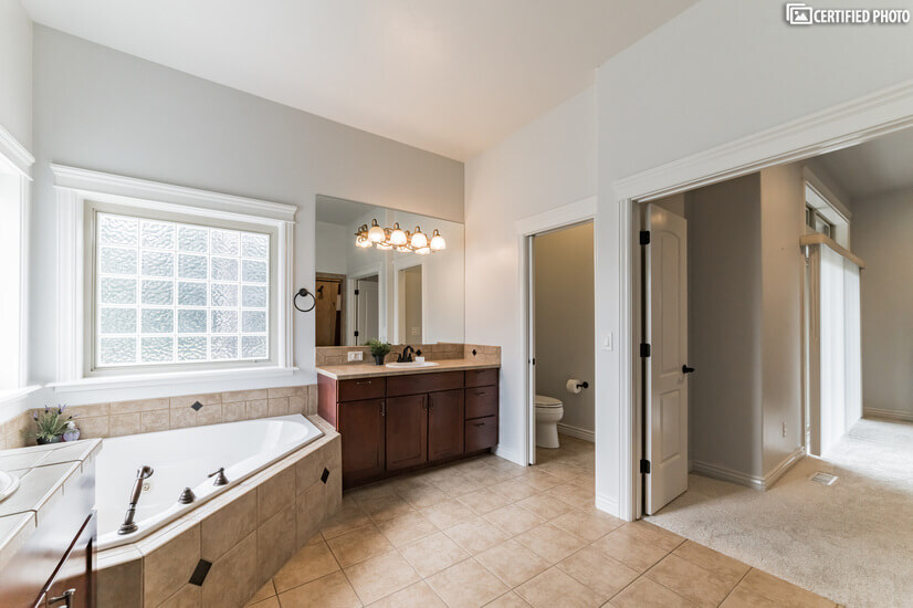 Master bath - glass block for light and privacy.