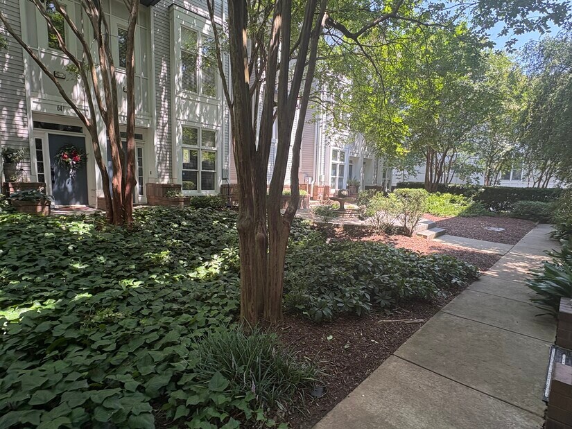 Secluded private Oasis