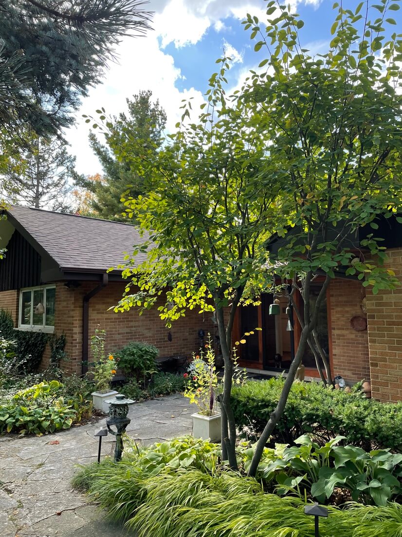 Furnished Bedroom and Bath in Evanston