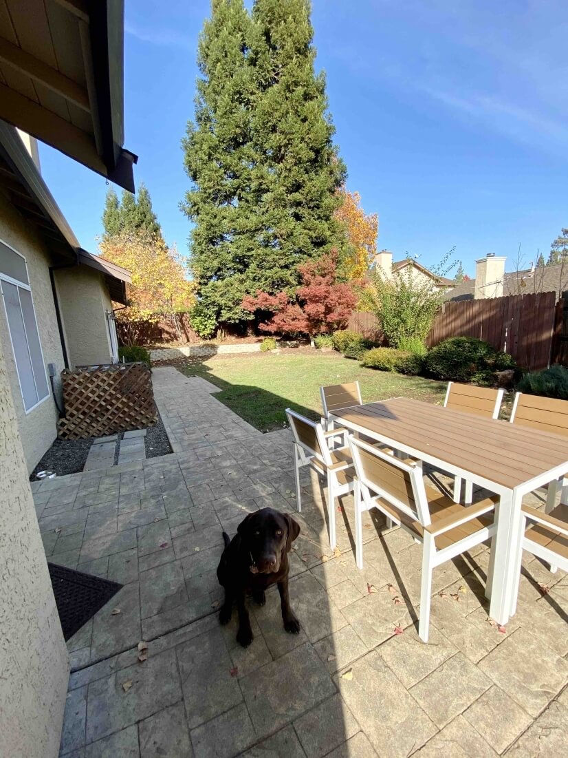 Large backyard with lawn and mature trees