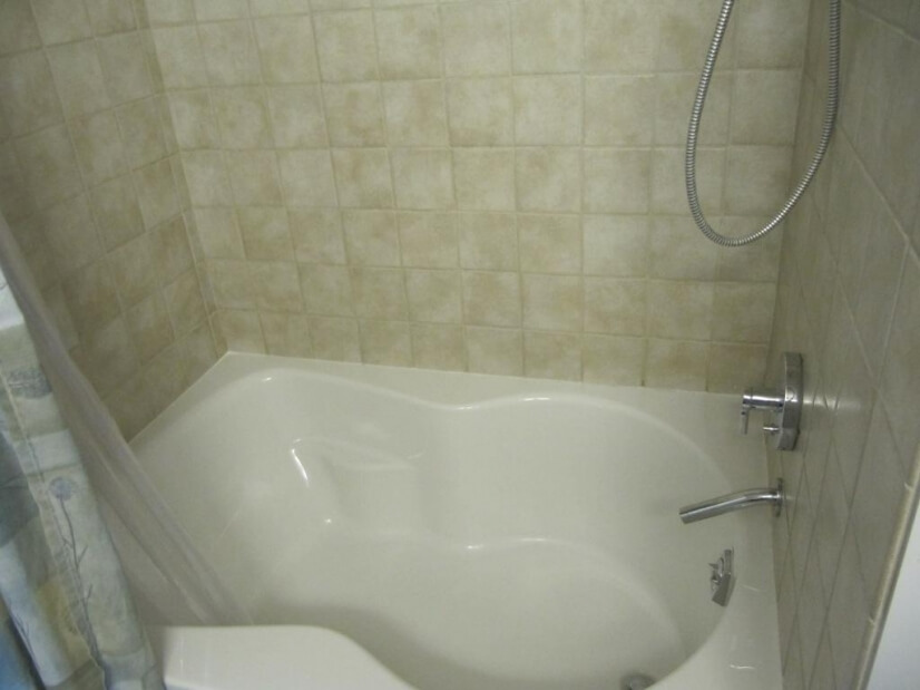Master Shower/Deep Soaking Tub