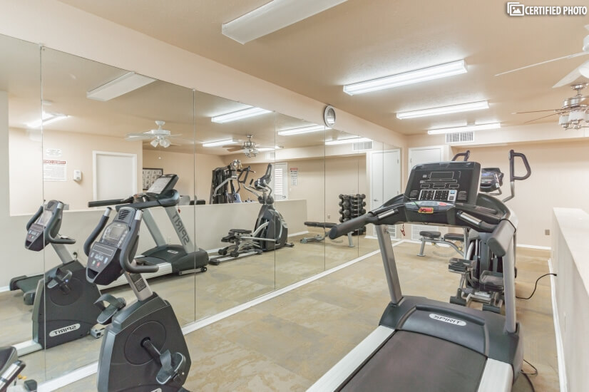 Gym facility with cardio exercise equipment.