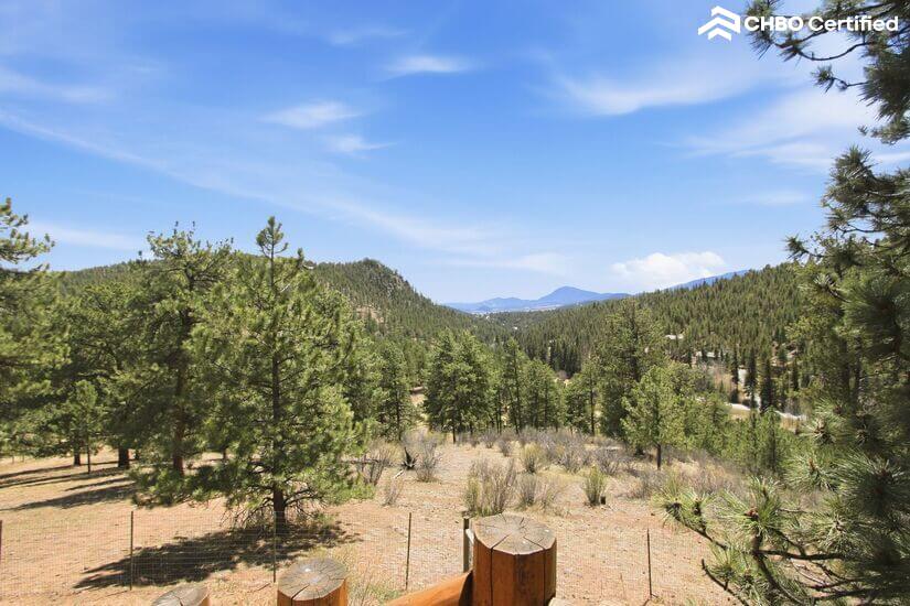 Mountain Ranch Exec Suite W Hot Tub