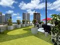 Rec Deck Mini Golf
