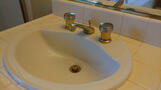 Master Bathroom Sink