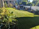 Backyard 2