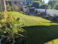 Backyard 2