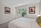 double hung windows for natural light