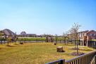 Neighborhood Dog Park