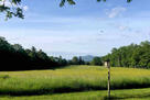 the view from the house