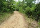 Walking trails