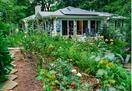 View of from the rose garden