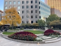 Plaza Landscaping