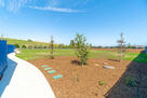 Park view