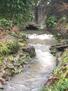 View from bedroom of the stream after rain