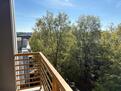Beautiful view over the trees