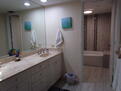 Updated master bathroom