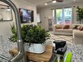 Open Concept 5