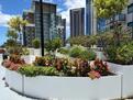 Rec Deck Herb Garden