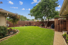 Backyard Overview