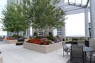 Rooftop1