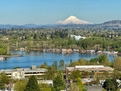 Views of MT Hood