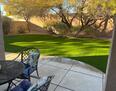 Back yard turf and patio