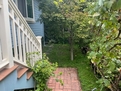 Furnished One Bedroom Cottage in Fairfax