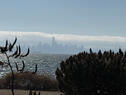 City View 1