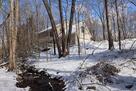 Winter Wonders